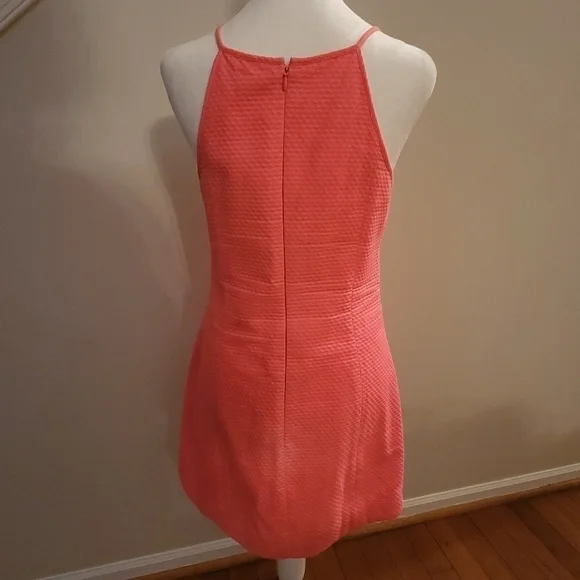 Lilly Pulitzer Lorina Shift Pink Sun Ray Dress - Picture 5 of 5